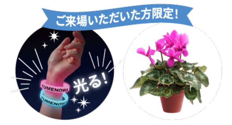 ご来場いただいた方限定!